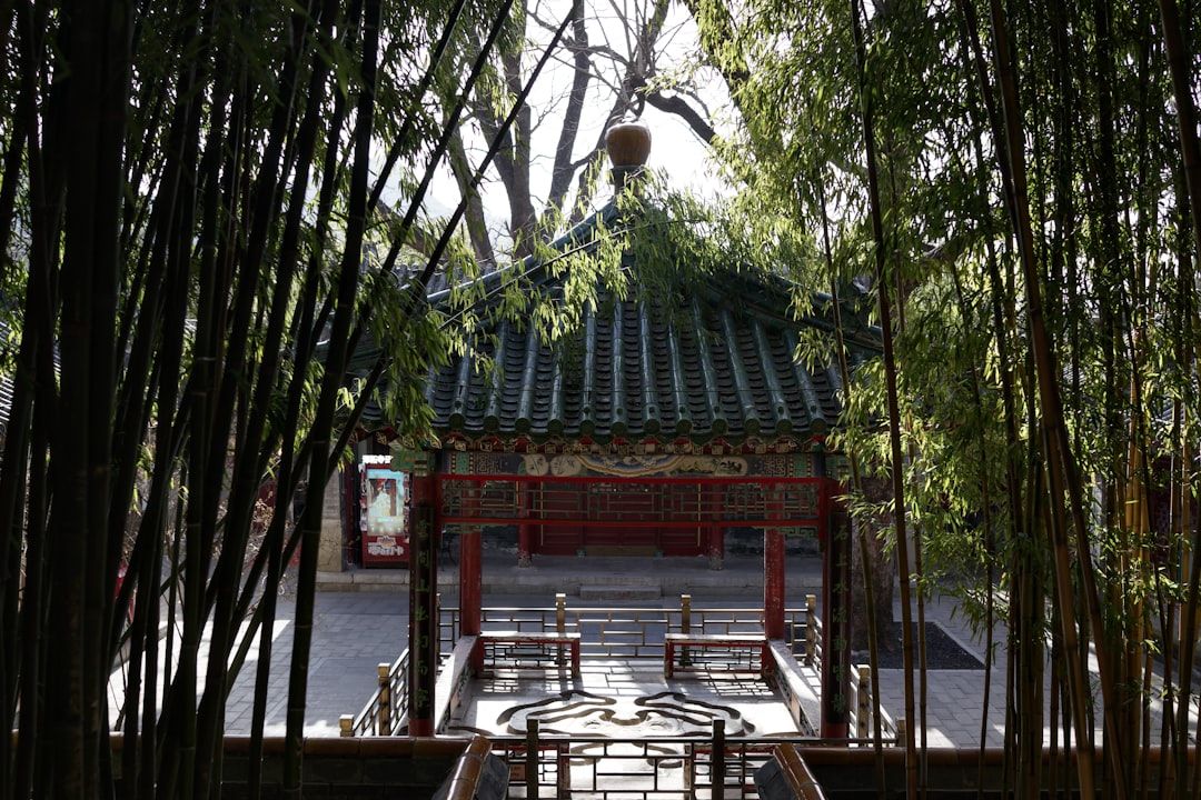 苏州必去景点讲解推荐 · 拙政园平江路留园苏州博物馆怎么选
